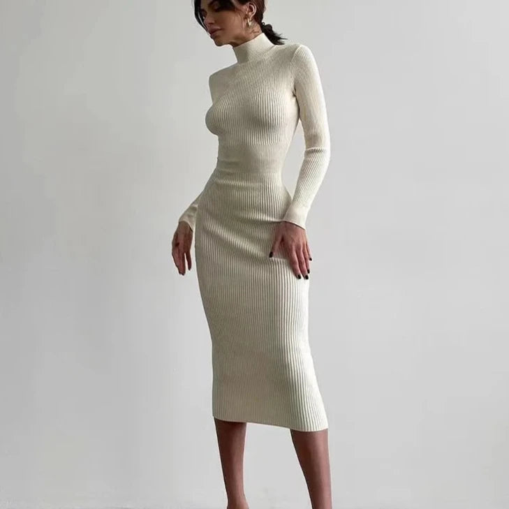 Velveta Knit Turtleneck Dress